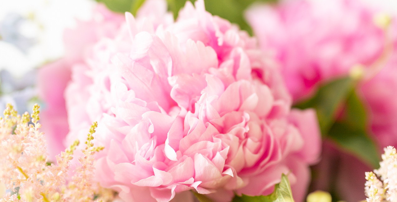 Moonflower Cobham Florist Everyday, Event & Wedding Flowers